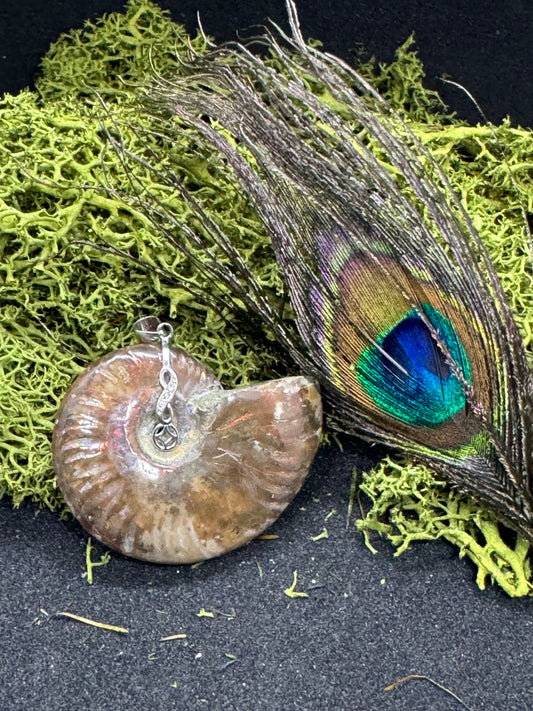 opalisierter Ammonit Anhänger